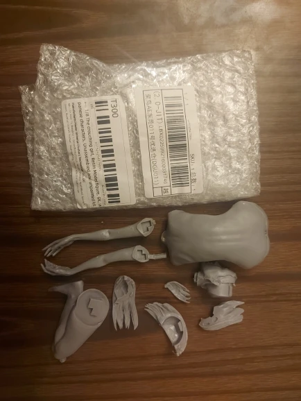 Buyer photo of this resin kit