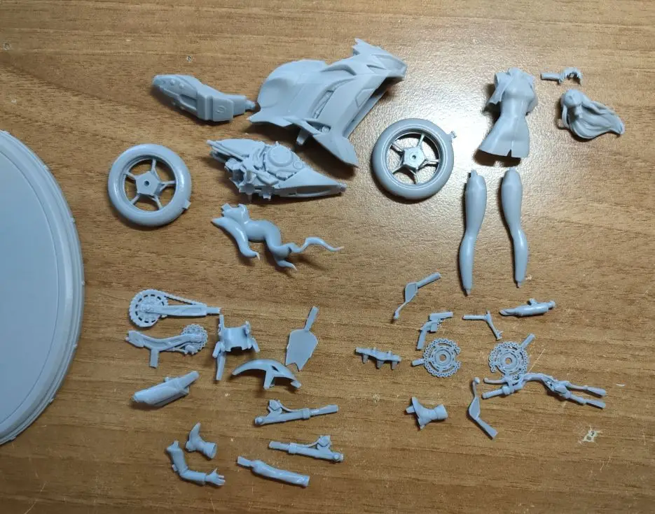 Buyer photo of this resin kit