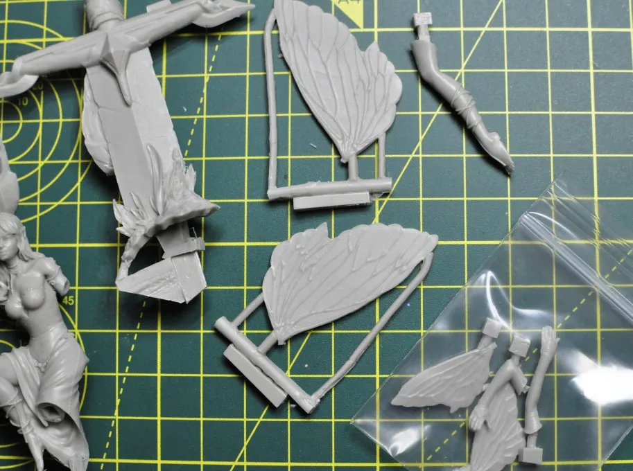 Buyer photo of this resin kit