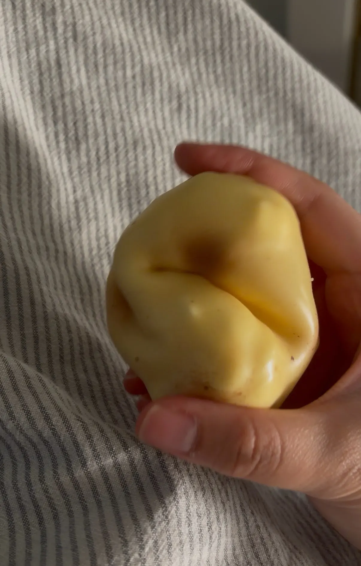 실물 포토 리뷰