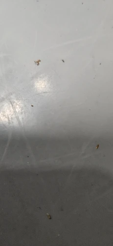 리뷰 사진
