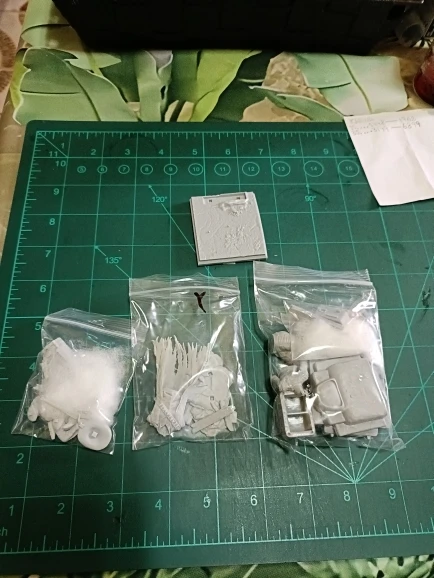 Buyer photo of this resin kit
