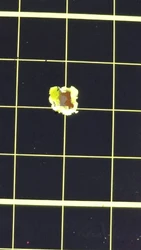Imagen de reseña 1