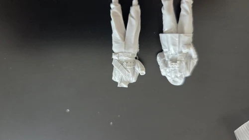 Buyer photo of this resin kit