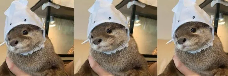 리뷰 사진