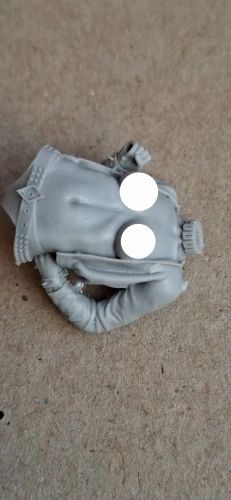 Buyer photo of this resin kit