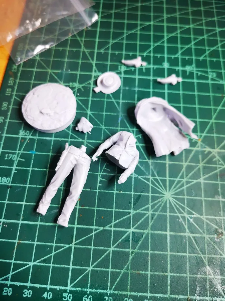 Buyer photo of this resin kit