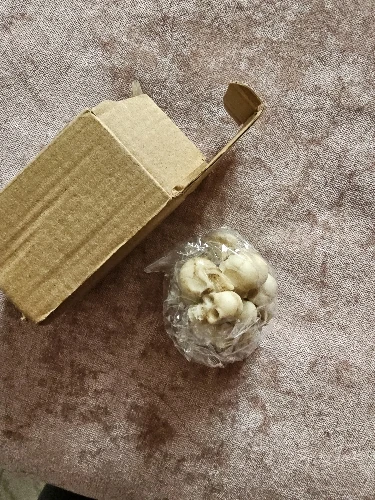 리뷰 사진