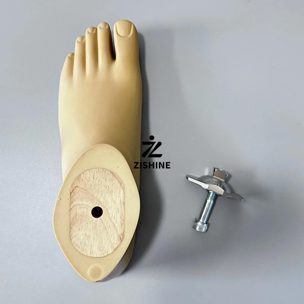 Prosthetic SACH Foot with Stainless Steel Ankle Adapter Set 1D10 2R8 Artificial Leg Feet 22-29cm Prosthesis Replacement Parts