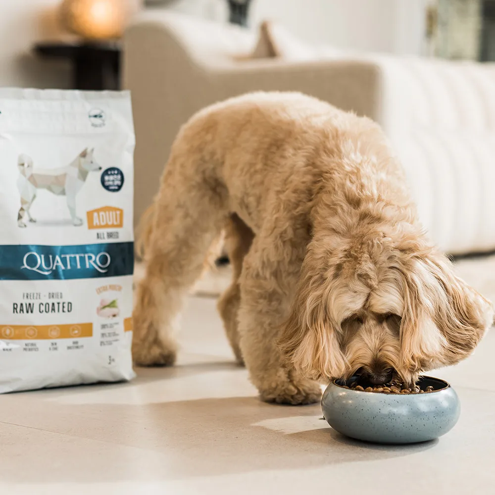 TheDog QUATTRO dog food All breed 3kg Choose 1 out of 2