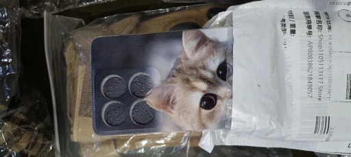 리뷰 사진