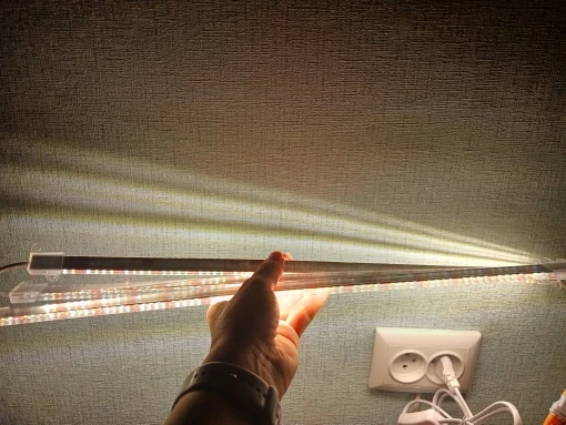 실물 포토 리뷰