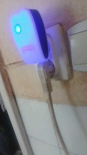 리뷰 사진