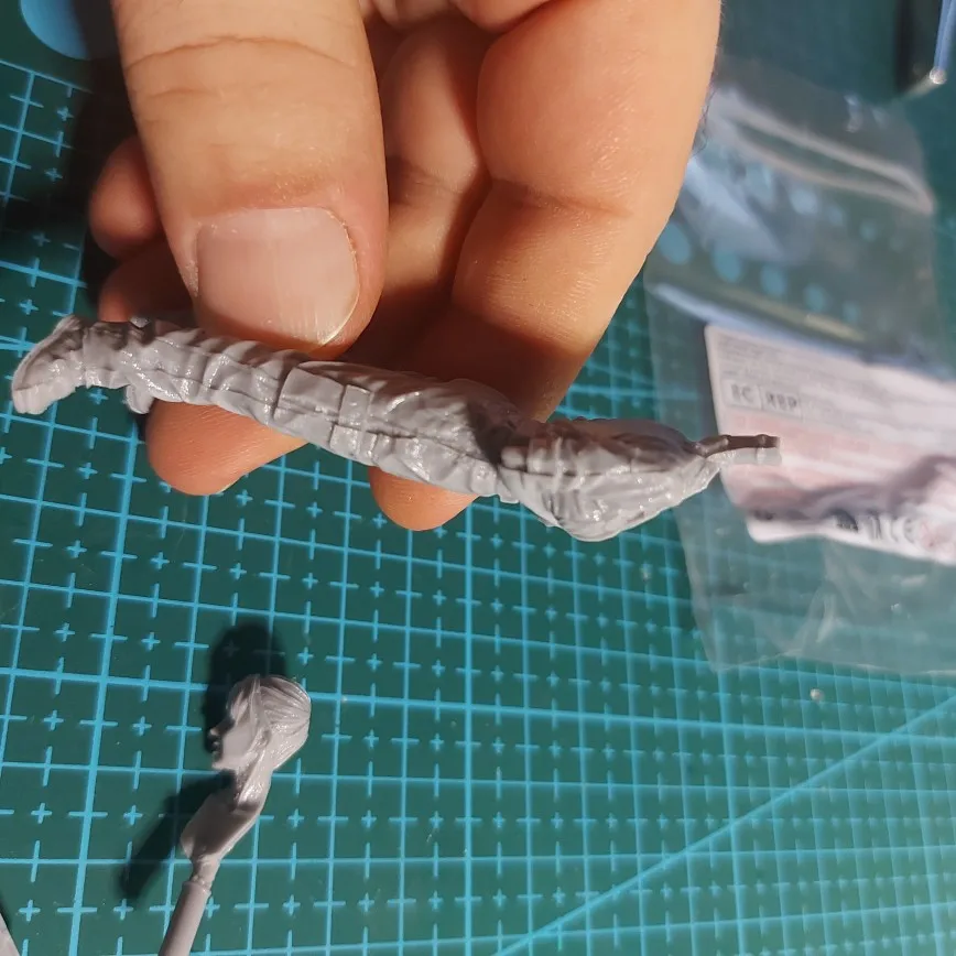 Buyer photo of this resin kit