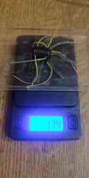 Imagen de reseña 2