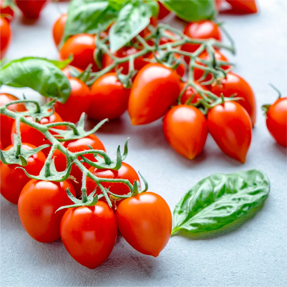 [Whatthefruit] Toomato 150g Stevias Tomato Stevias Flavor