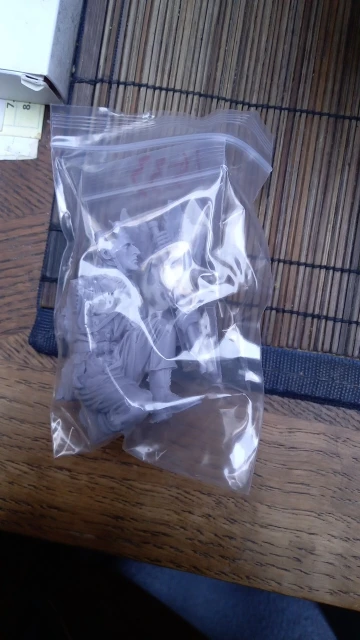 Buyer photo of this resin kit