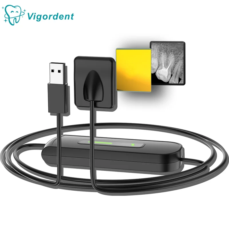 

Dental X Ray Sensor with Holder USB Fast Transmissio Intraoral Imaging System HD Digital DTS Sensor Vigordent Dentistry Tools
