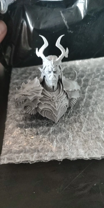 Buyer photo of this resin kit
