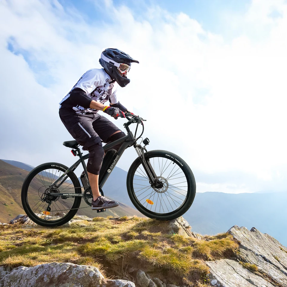Isinwheel M10 adult E-bike 500W 36V10.4Ah battery commute Electric Bike,26-inch Fat Tire E-Mountain bike image 5