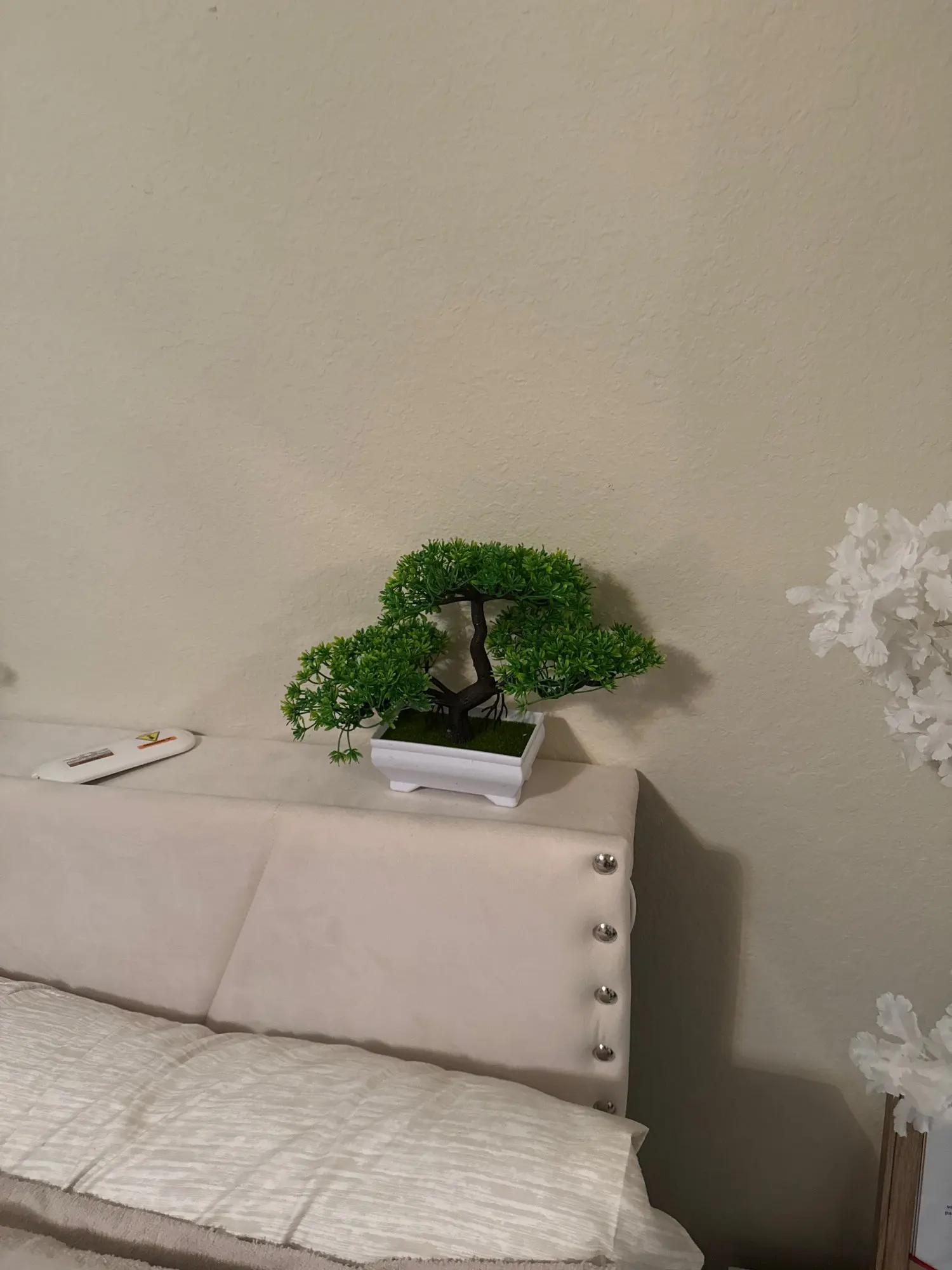 Customer photo