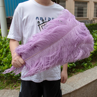 10 PCS/Lot Light Purple Ostrich Feathers 15-50CM Long Plumes for Crafts Wedding Carnival Table Centerpiece Decoration Accessory