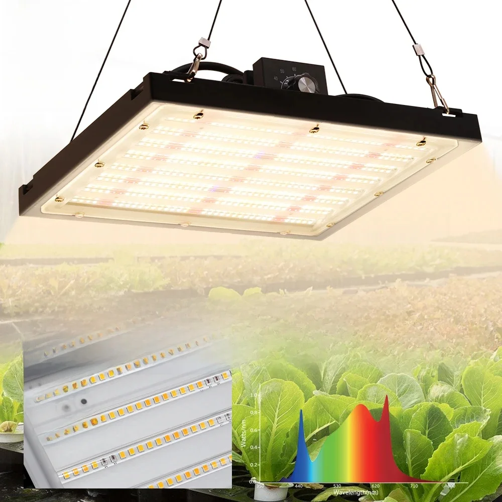 Vollspektrum-LED-Wachstumslicht 150 W LM281B Dimmbare Pflanzenwachstumslampe Quantum Board Pflanzenfülllicht für Gewächshausblume