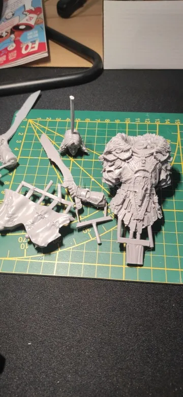 Buyer photo of this resin kit