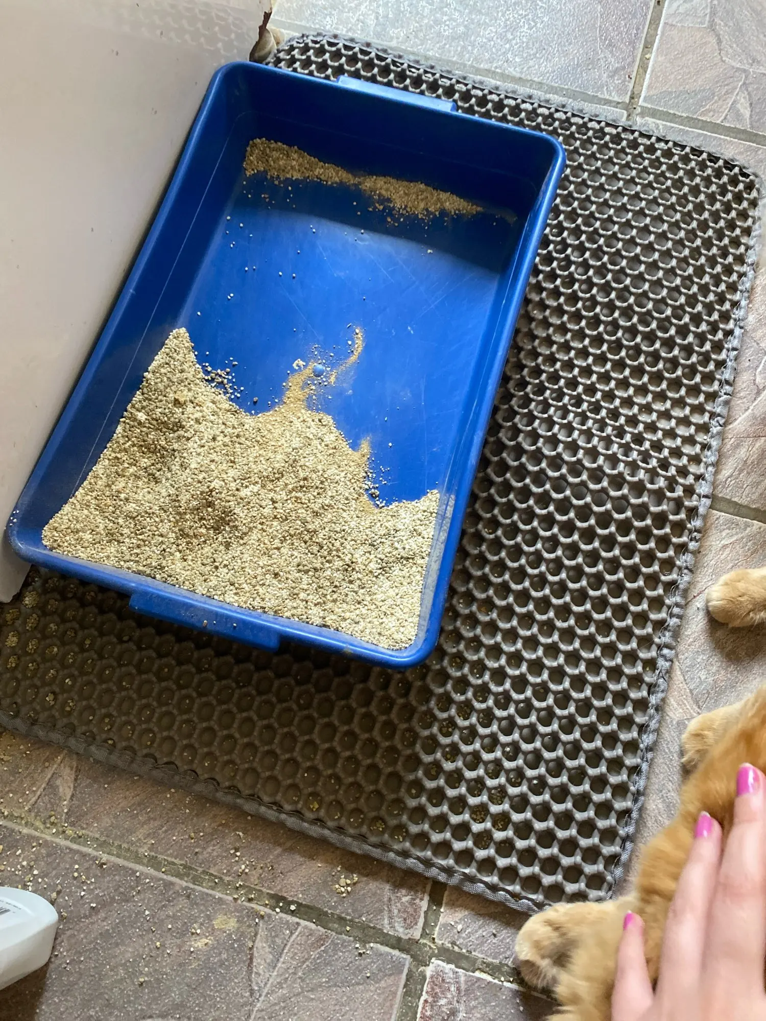 Customer review photo for Double-Layer Cat Litter Mat
