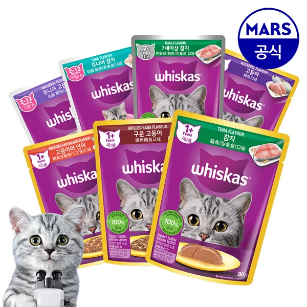 Paquete Wyscas pmore, 80g x 24 piezas (tasack 1)