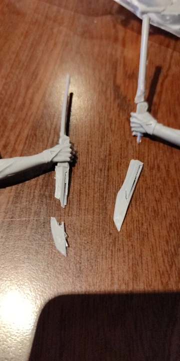 Buyer photo of this resin kit