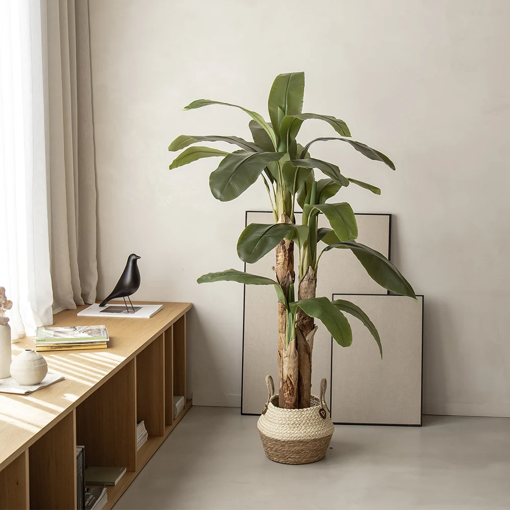 MAIA SHOP Artificial Bananera, Plastic Bananero, Plant, Artificial Tree, Made with Best Materials, Ideal for Home Decor, Events, Weddings, Office, House, Apartment, Hotel