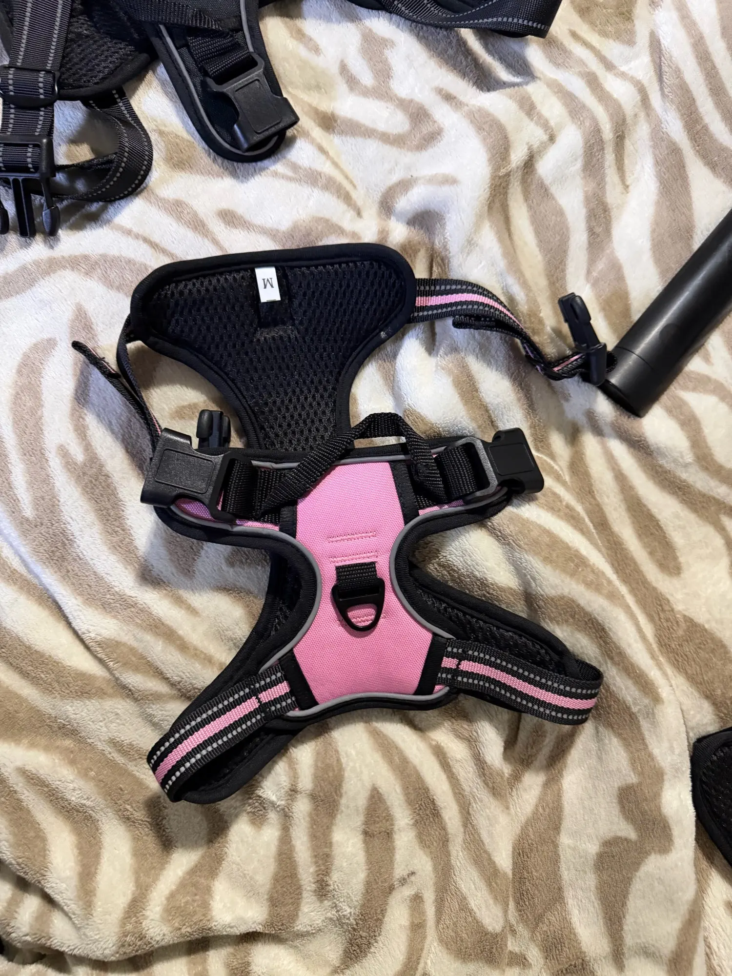 Review picture