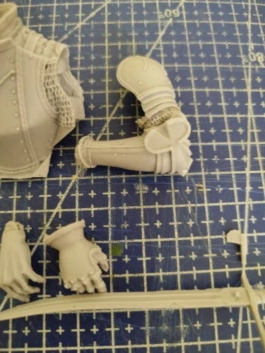 Buyer photo of this resin kit