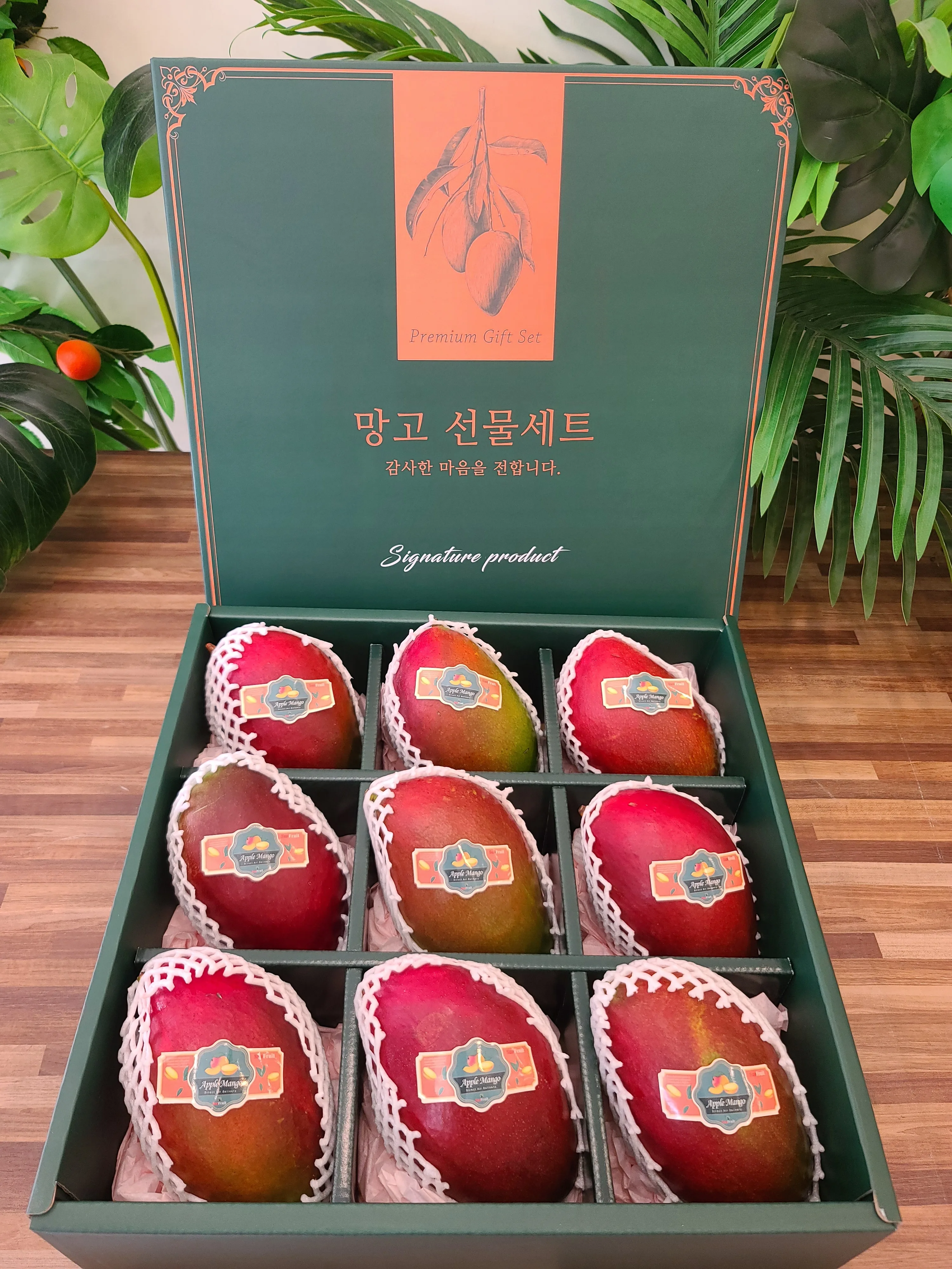 명절선물세트 프리미엄 애플망고 선물세트 6과 / 9과