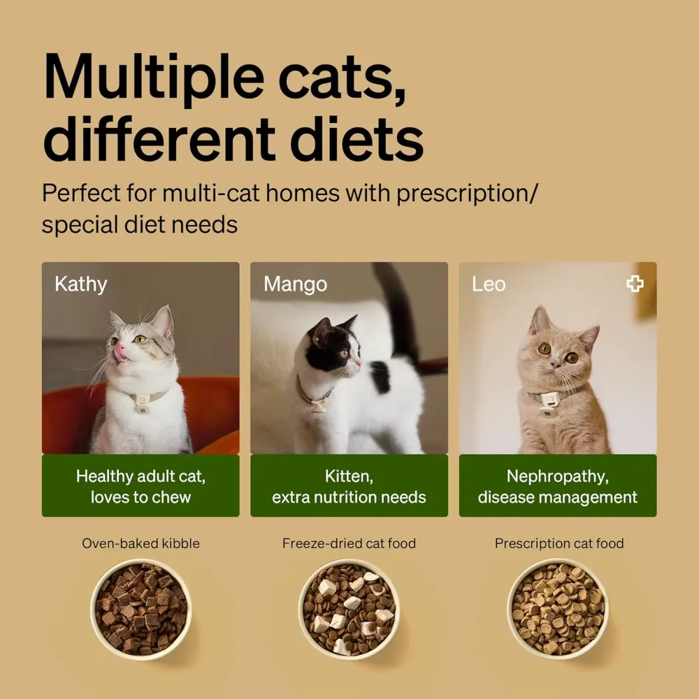 ID Automatic Cat Feeder Collar Tag Actied Personalized Meals 5 G 2.4 G Wi-Fi Programmle Pet Food Dispenser with Cat