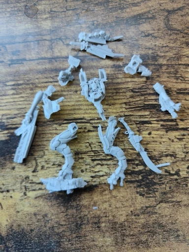 Buyer photo of this resin kit