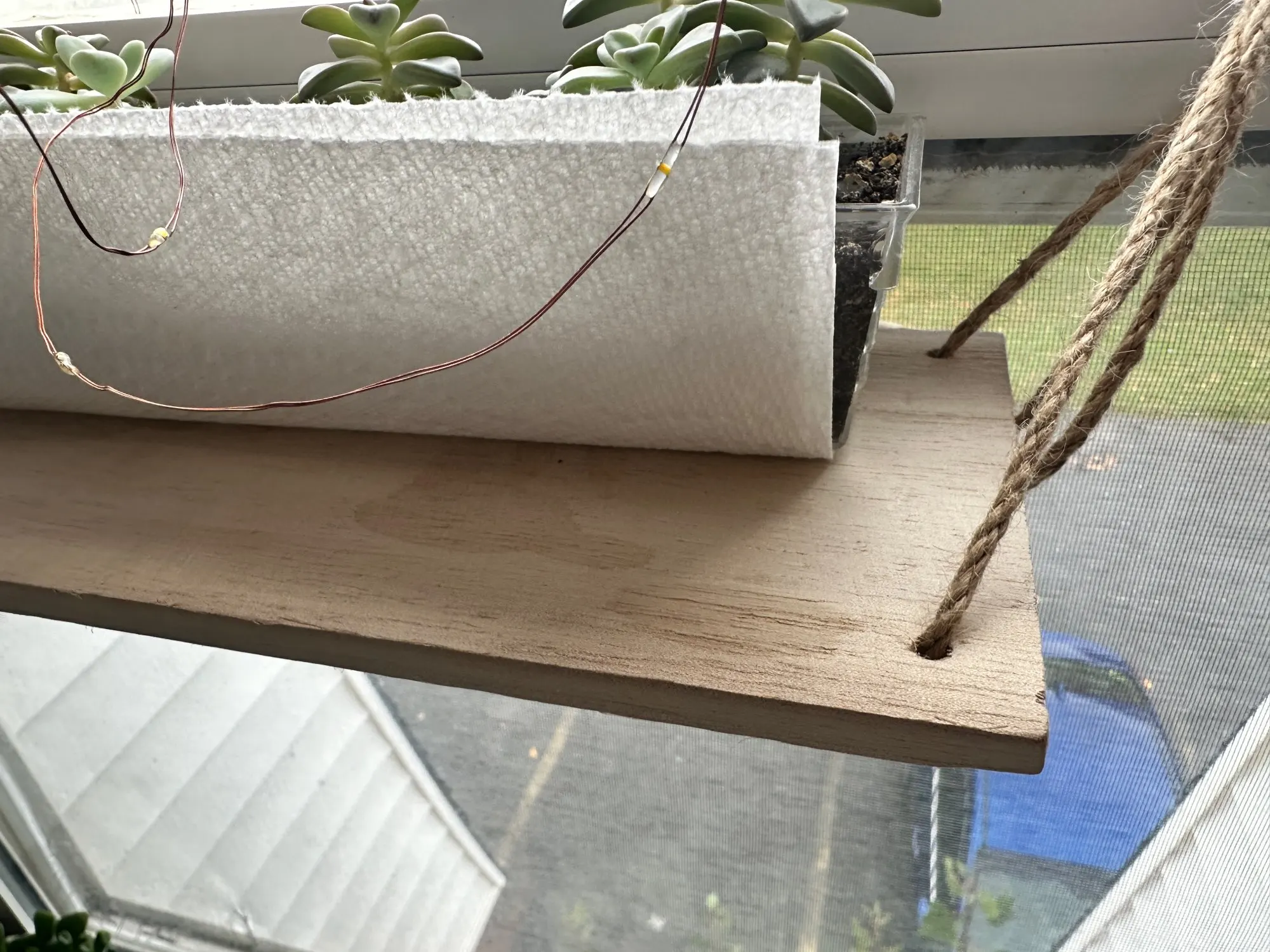 Customer review photo