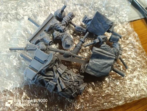 Buyer photo of this resin kit
