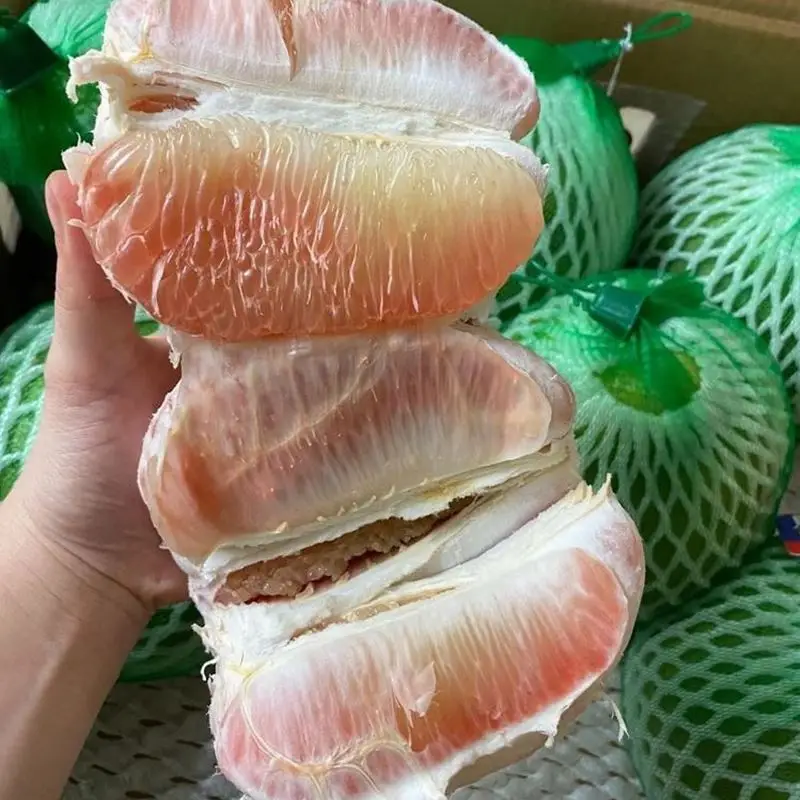 ★ Vietnam Pomelo Grapefruit Mangosteen Tangerine Tropical Fruit Foreign Fruit Foreign Fruit Mangosteen