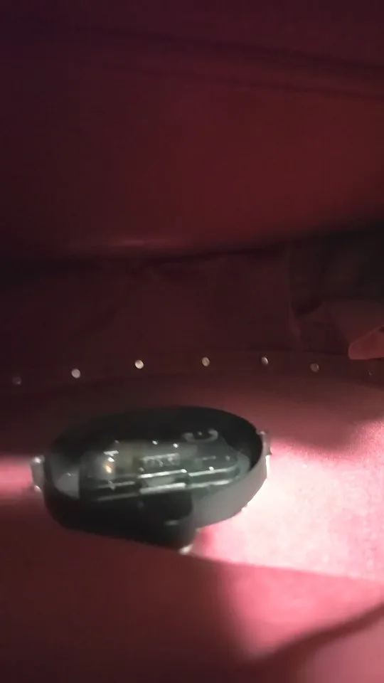 실물 포토 리뷰