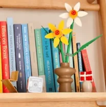 

Best New Diode Laser Hair Removal Machine 3000W Painless Permanent 755nm 808nm 1064nm Wavelengths CE Certified