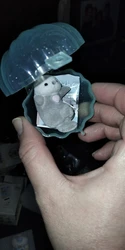 Imagen de reseña 2