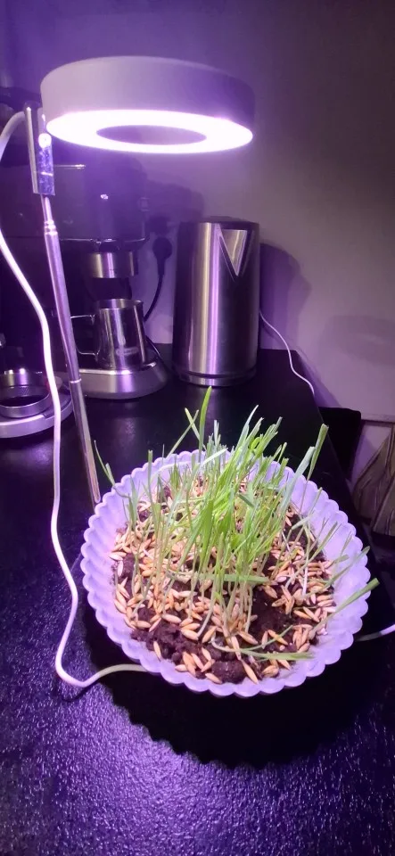 Kundebilde av produktet