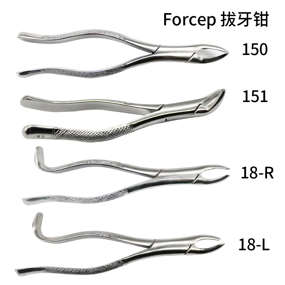 

Adult Tooth Extracting Forceps Pliers Dentist Surgical Extraction Instrument Dental Residual Root Forceps