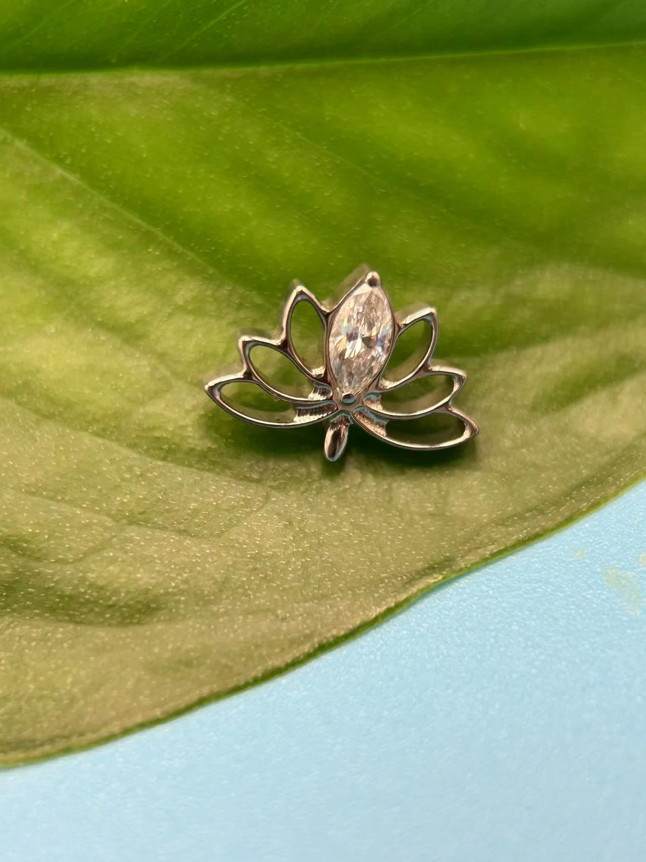 Kenbao 10pcs F136 titanium  flat Rook lotus flower  forward helix CZ daith conch Marquise stacked lobe lip body jewelry Earring