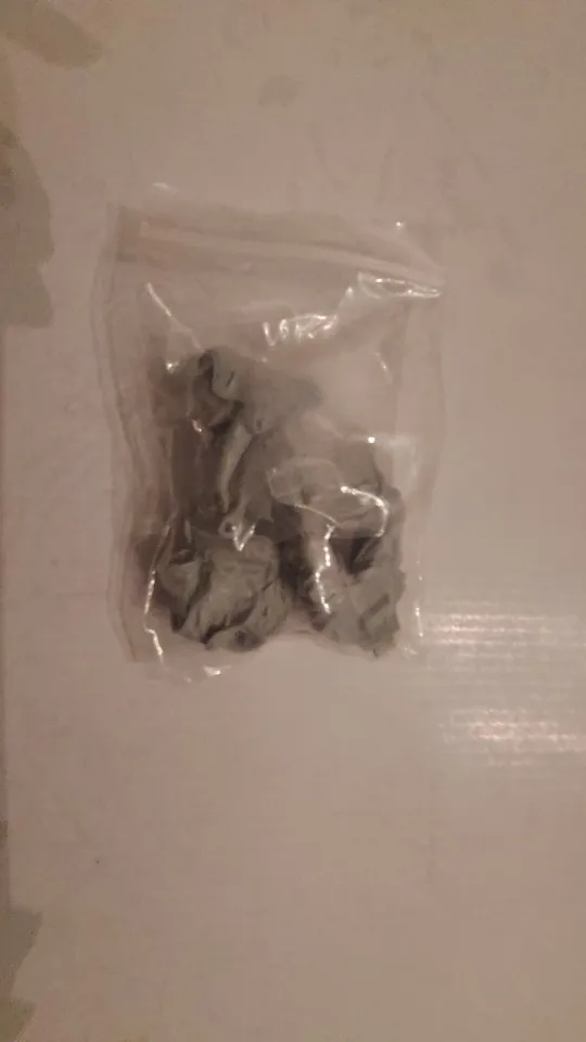 Buyer photo of this resin kit