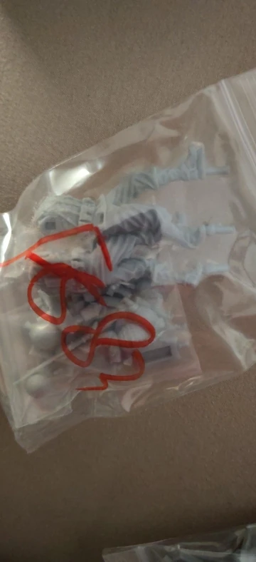 Buyer photo of this resin kit