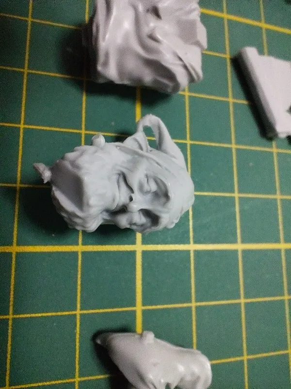 Buyer photo of this resin kit