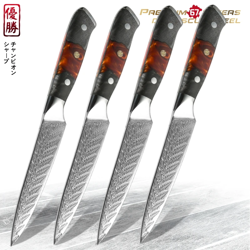 Chef Steak Knife Set Damascus Steel 67 Layers Japanese Knife Utility Paring Tomato Cutting Slicing Cooking Universal Tools